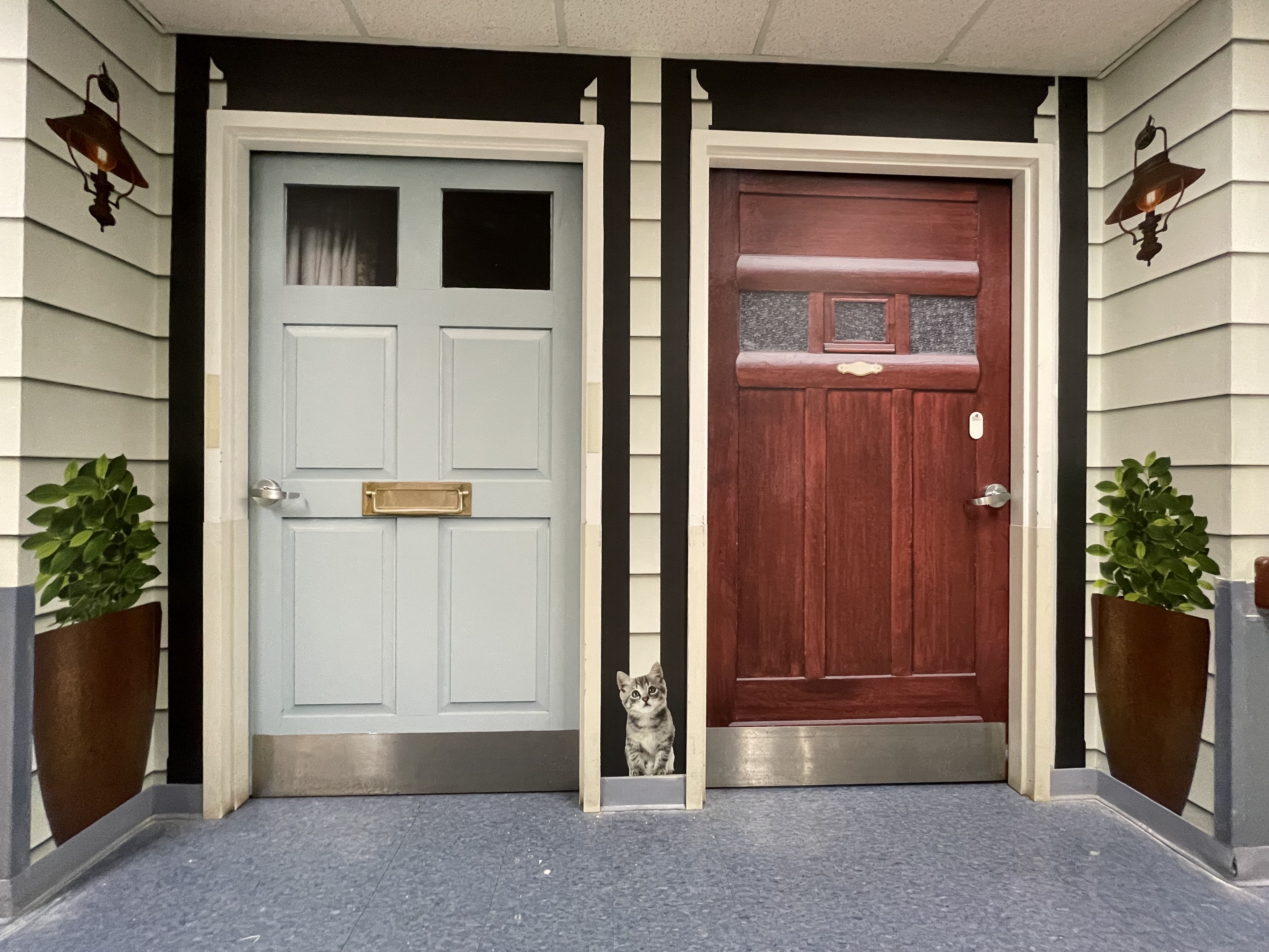 True Doors installed at Mercy Health Bendingo in Australia